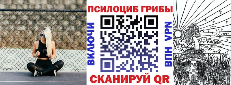 Псилоцибиновые грибы GOLDEN TEACHER  Дигора 