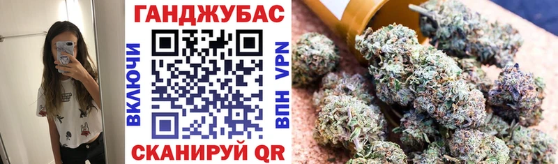 Канабис сатива  Дигора 
